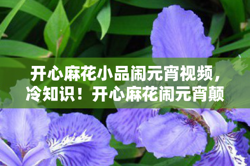 开心麻花小品闹元宵视频,冷知识!开心麻花闹元宵颠覆认知,真相竟让人目瞪口呆! 开心麻花小品闹元宵视频,冷知识!开心麻花闹元宵颠覆认知,真相竟让人目瞪口呆!