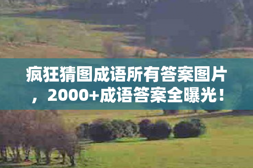 疯狂猜图成语所有答案图片，2000+成语答案全曝光！这款游戏竟让90后集体泪目，背后藏着暴利新蓝海