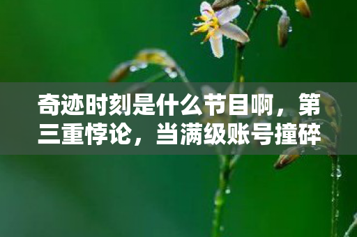 奇迹时刻是什么节目啊,第三重悖论,当满级账号撞碎现实次元壁,灵魂震颤的奇迹时刻 奇迹时刻是什么节目啊,第三重悖论,当满级账号撞碎现实次元壁,灵魂震颤的奇迹时刻