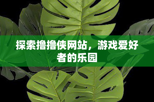 探索撸撸侠网站,游戏爱好者的乐园 探索撸撸侠网站,游戏爱好者的乐园