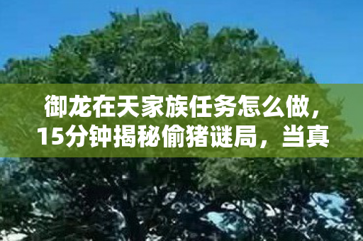御龙在天家族任务怎么做,15分钟揭秘偷猪谜局,当真相浮出竟让人泪目! 御龙在天家族任务怎么做,15分钟揭秘偷猪谜局,当真相浮出竟让人泪目!