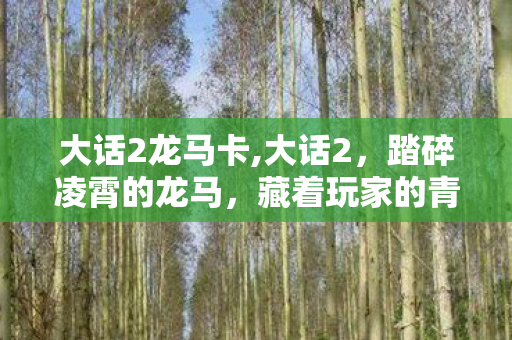 大话2龙马卡,大话2，踏碎凌霄的龙马，藏着玩家的青春