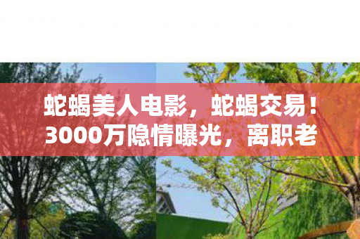 蛇蝎美人电影，蛇蝎交易！3000万隐情曝光，离职老兵拍桌怒吼，这操作真让人吓一跳！