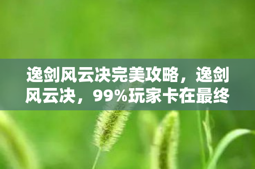 逸剑风云决完美攻略,逸剑风云决,99%玩家卡在最终章,我的37次死亡竟撕开武侠游戏最大谎言! 逸剑风云决完美攻略,逸剑风云决,99%玩家卡在最终章,我的37次死亡竟撕开武侠游戏最大谎言!