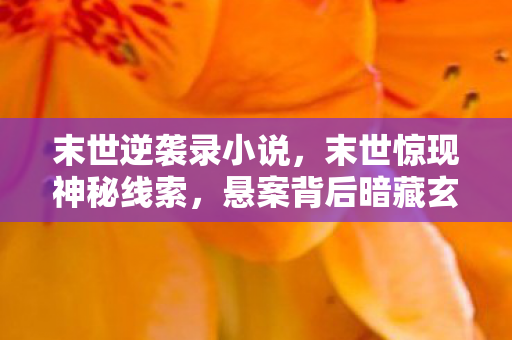 末世逆袭录小说，末世惊现神秘线索，悬案背后暗藏玄机，毛骨悚然真相待揭！