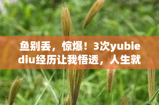 鱼别丢，惊爆！3次yubiediu经历让我悟透，人生就该这样疯一把！