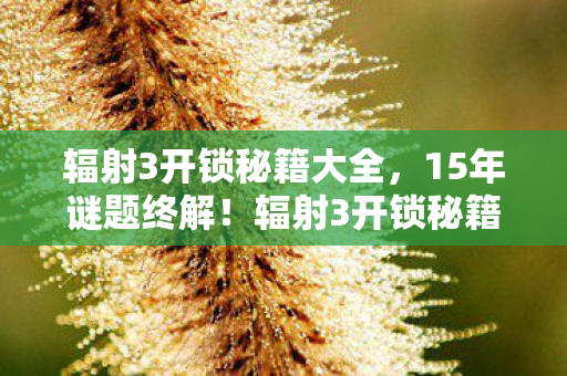 辐射3开锁秘籍大全,15年谜题终解!辐射3开锁秘籍背后的时光密码,泪目真相 辐射3开锁秘籍大全,15年谜题终解!辐射3开锁秘籍背后的时光密码,泪目真相