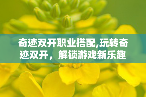 奇迹双开职业搭配,玩转奇迹双开,解锁游戏新乐趣 奇迹双开职业搭配,玩转奇迹双开,解锁游戏新乐趣