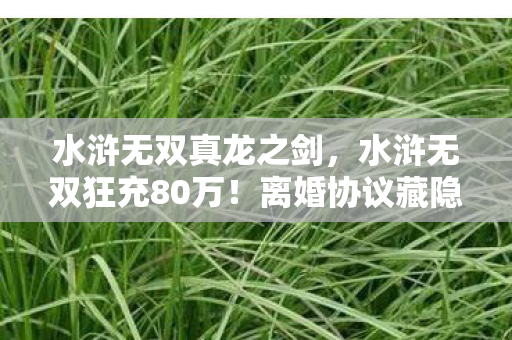 水浒无双真龙之剑，水浒无双狂充80万！离婚协议藏隐情，妻子举动吓我一跳！