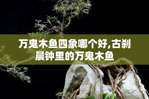 万鬼木鱼四象哪个好,古刹晨钟里的万鬼木鱼 万鬼木鱼四象哪个好,古刹晨钟里的万鬼木鱼