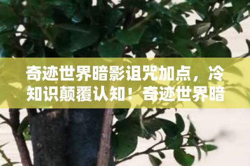 奇迹世界暗影诅咒加点，冷知识颠覆认知！奇迹世界暗影里这些设计，让你目瞪口呆到炸裂！