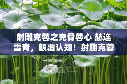 射雕克蓉之克骨蓉心 赫连雪青，颠覆认知！射雕克蓉克骨蓉心设计冷知识，让你目瞪口呆！
