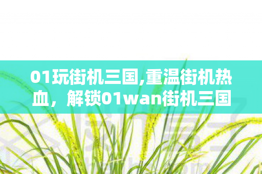01玩街机三国,重温街机热血，解锁01wan街机三国的三国豪情
