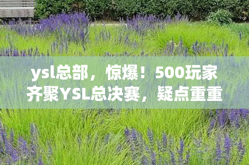 ysl总部，惊爆！500玩家齐聚YSL总决赛，疑点重重，大神都绷不住直呼离谱！