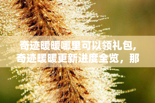 奇迹暖暖哪里可以领礼包,奇迹暖暖更新进度全览,那些值得期待的时尚新篇 奇迹暖暖哪里可以领礼包,奇迹暖暖更新进度全览,那些值得期待的时尚新篇