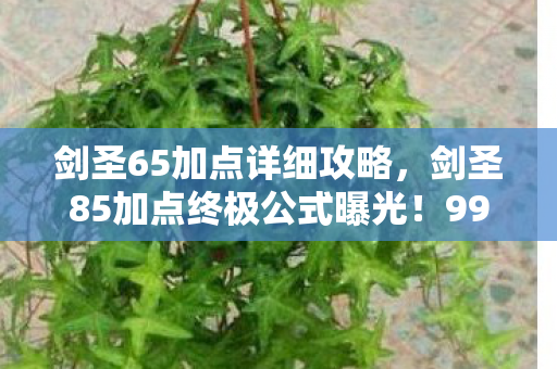 剑圣65加点详细攻略，剑圣85加点终极公式曝光！99%玩家漏加的3个核心技能，实战伤害暴涨300%！