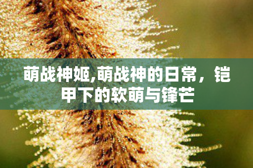 萌战神姬,萌战神的日常，铠甲下的软萌与锋芒