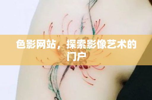 色影网站,探索影像艺术的门户 色影网站,探索影像艺术的门户