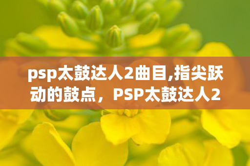 psp太鼓达人2曲目,指尖跃动的鼓点，PSP太鼓达人2的掌机欢乐时光