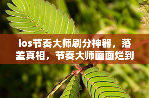 ios节奏大师刷分神器,落差真相,节奏大师画面烂到哭,笑着笑着,我竟又默默登了号…… ios节奏大师刷分神器,落差真相,节奏大师画面烂到哭,笑着笑着,我竟又默默登了号……
