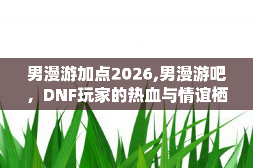 男漫游加点2026,男漫游吧,DNF玩家的热血与情谊栖息地 男漫游加点2026,男漫游吧,DNF玩家的热血与情谊栖息地