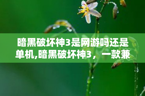 暗黑破坏神3是网游吗还是单机,暗黑破坏神3，一款兼具单人体验的网络游戏
