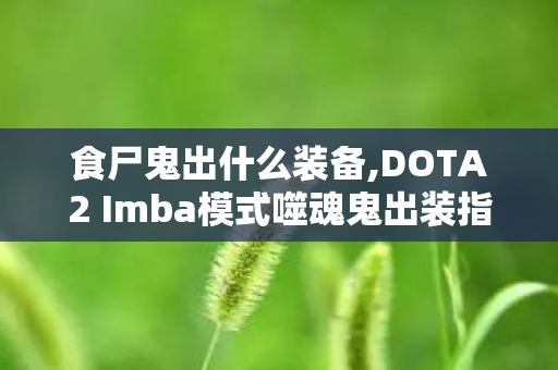 食尸鬼出什么装备,DOTA2 Imba模式噬魂鬼出装指南，适配技能强化的核心选择