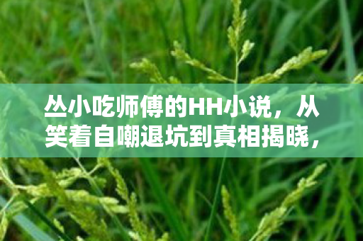 丛小吃师傅的HH小说，从笑着自嘲退坑到真相揭晓，笑着笑着，我竟为HH哭了