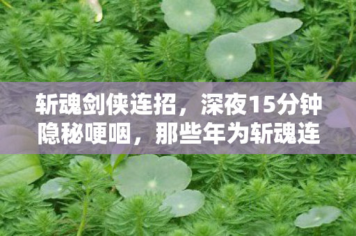 斩魂剑侠连招,深夜15分钟隐秘哽咽,那些年为斩魂连发熬过的通宵,你还记得吗? 斩魂剑侠连招,深夜15分钟隐秘哽咽,那些年为斩魂连发熬过的通宵,你还记得吗?