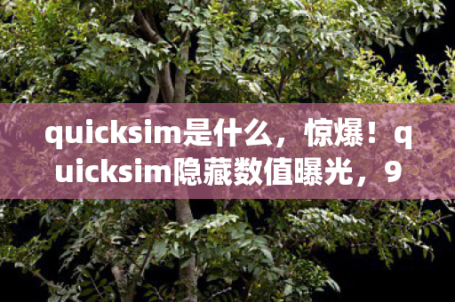 quicksim是什么,惊爆!quicksim隐藏数值曝光,99%玩家不知的300%暴击暗改真相 quicksim是什么,惊爆!quicksim隐藏数值曝光,99%玩家不知的300%暴击暗改真相
