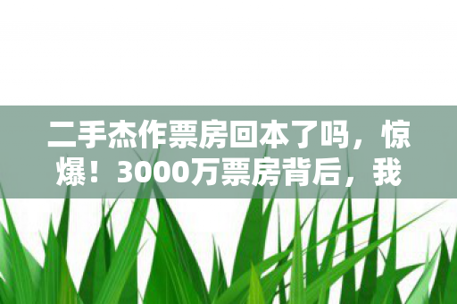 二手杰作票房回本了吗,惊爆!3000万票房背后,我充游戏300万竟拆了自家! 二手杰作票房回本了吗,惊爆!3000万票房背后,我充游戏300万竟拆了自家!