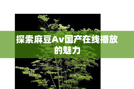 探索麻豆Av国产在线播放的魅力
