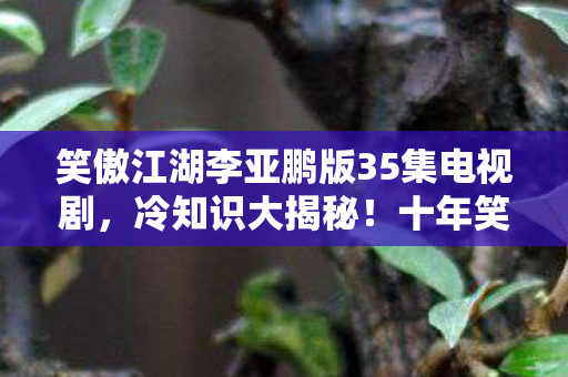 笑傲江湖李亚鹏版35集电视剧，冷知识大揭秘！十年笑傲颠覆认知，真相让你目瞪口呆！