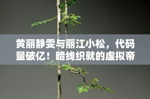 黄丽静雯与丽江小松,代码量破亿!暗线织就的虚拟帝国,头皮发麻的生存法则 黄丽静雯与丽江小松,代码量破亿!暗线织就的虚拟帝国,头皮发麻的生存法则