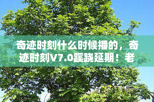 奇迹时刻什么时候播的，奇迹时刻V7.0蹊跷延期！老玩家泪目，这迭代路咋就回不去了？