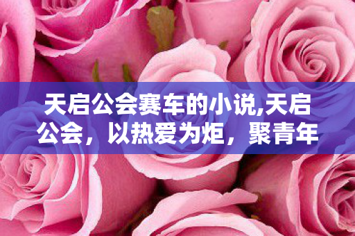 天启公会赛车的小说,天启公会，以热爱为炬，聚青年同好