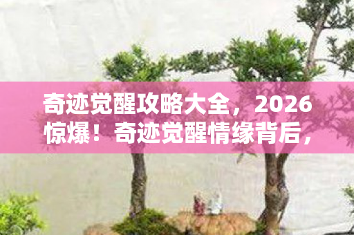 奇迹觉醒攻略大全，2026惊爆！奇迹觉醒情缘背后，竟藏着让我鼻子一酸的真相伏笔