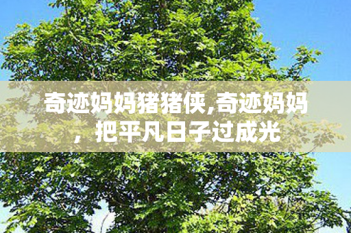 奇迹妈妈猪猪侠,奇迹妈妈,把平凡日子过成光 奇迹妈妈猪猪侠,奇迹妈妈,把平凡日子过成光