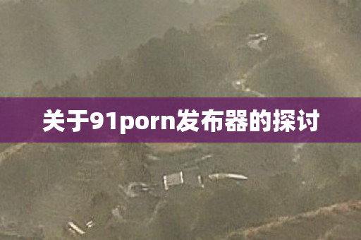 关于91porn发布器的探讨 关于91porn发布器的探讨