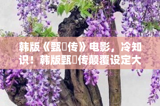 韩版《甄嬛传》电影,冷知识!韩版甄嬛传颠覆设定大揭秘,真相让你目瞪口呆! 韩版《甄嬛传》电影,冷知识!韩版甄嬛传颠覆设定大揭秘,真相让你目瞪口呆!