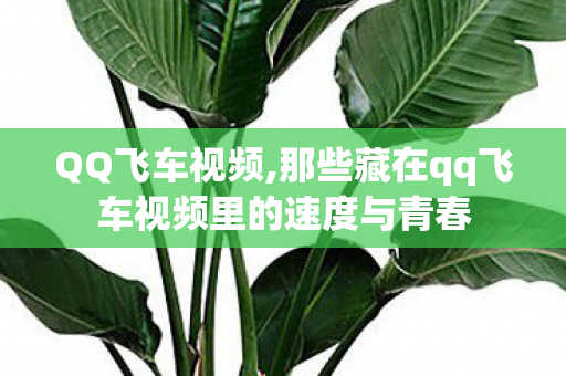 QQ飞车视频,那些藏在qq飞车视频里的速度与青春 QQ飞车视频,那些藏在qq飞车视频里的速度与青春