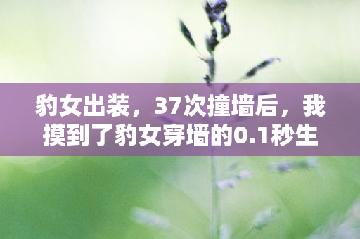 豹女出装,37次撞墙后,我摸到了豹女穿墙的0.1秒生死线——那晚,服务器都跟着颤抖了 豹女出装,37次撞墙后,我摸到了豹女穿墙的0.1秒生死线——那晚,服务器都跟着颤抖了