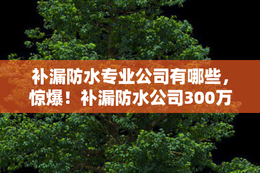 补漏防水专业公司有哪些,惊爆!补漏防水公司300万方案被砍,背后隐情让人吓一跳! 补漏防水专业公司有哪些,惊爆!补漏防水公司300万方案被砍,背后隐情让人吓一跳!