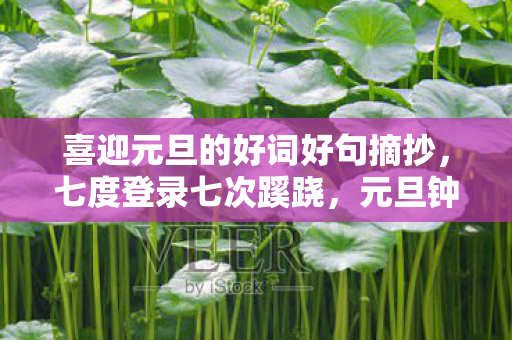 喜迎元旦的好词好句摘抄，七度登录七次蹊跷，元旦钟声里后背发凉的十年逃亡