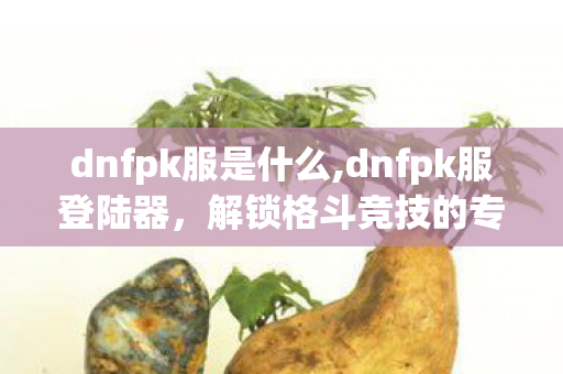 dnfpk服是什么,dnfpk服登陆器,解锁格斗竞技的专属通道 dnfpk服是什么,dnfpk服登陆器,解锁格斗竞技的专属通道