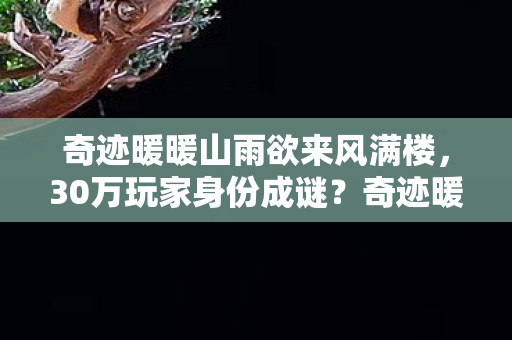 奇迹暖暖山雨欲来风满楼，30万玩家身份成谜？奇迹暖暖山雨欲来背后的心酸真相