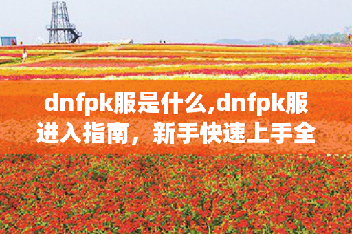 dnfpk服是什么,dnfpk服进入指南,新手快速上手全步骤 dnfpk服是什么,dnfpk服进入指南,新手快速上手全步骤