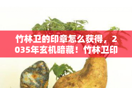 竹林卫的印章怎么获得,2035年玄机暗藏!竹林卫印章沉默千年,竟藏着人生终极密码? 竹林卫的印章怎么获得,2035年玄机暗藏!竹林卫印章沉默千年,竟藏着人生终极密码?