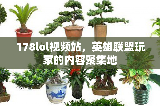 178lol视频站,英雄联盟玩家的内容聚集地 178lol视频站,英雄联盟玩家的内容聚集地