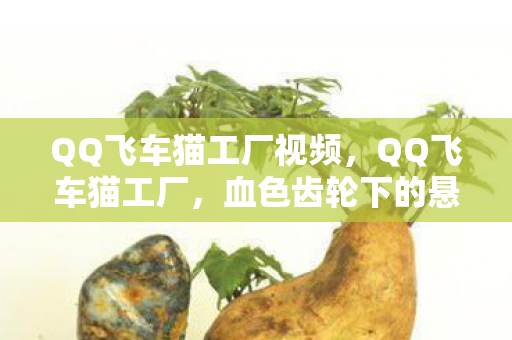 QQ飞车猫工厂视频,QQ飞车猫工厂,血色齿轮下的悬案,毛骨悚然自掘坟墓 QQ飞车猫工厂视频,QQ飞车猫工厂,血色齿轮下的悬案,毛骨悚然自掘坟墓